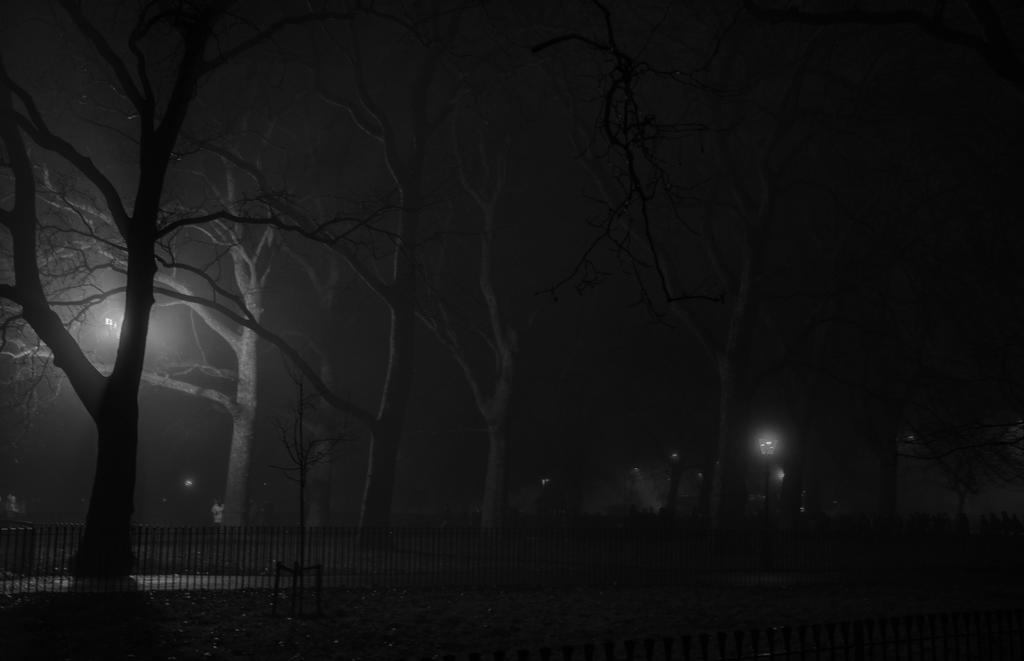 Trees-2.jpg