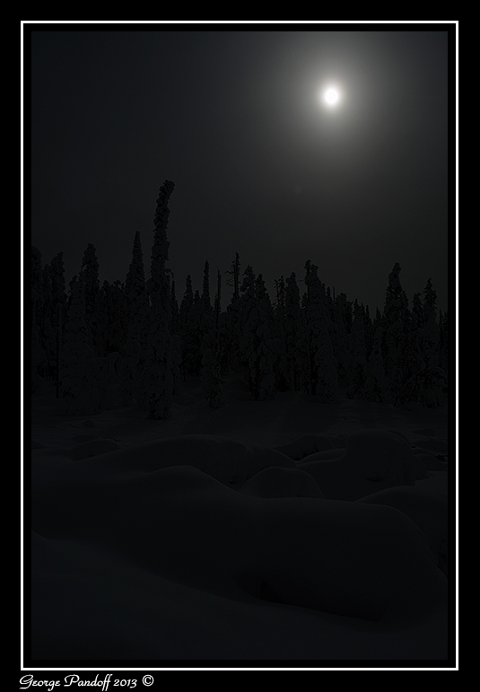 Trees8Framed.jpg