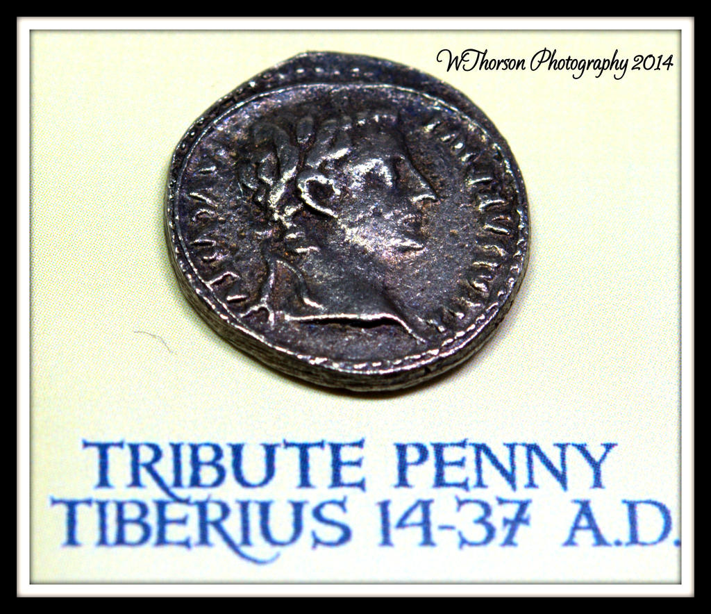 Tribute Penny Coin.jpg