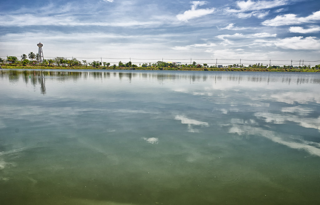 trmple-pond-1.jpg
