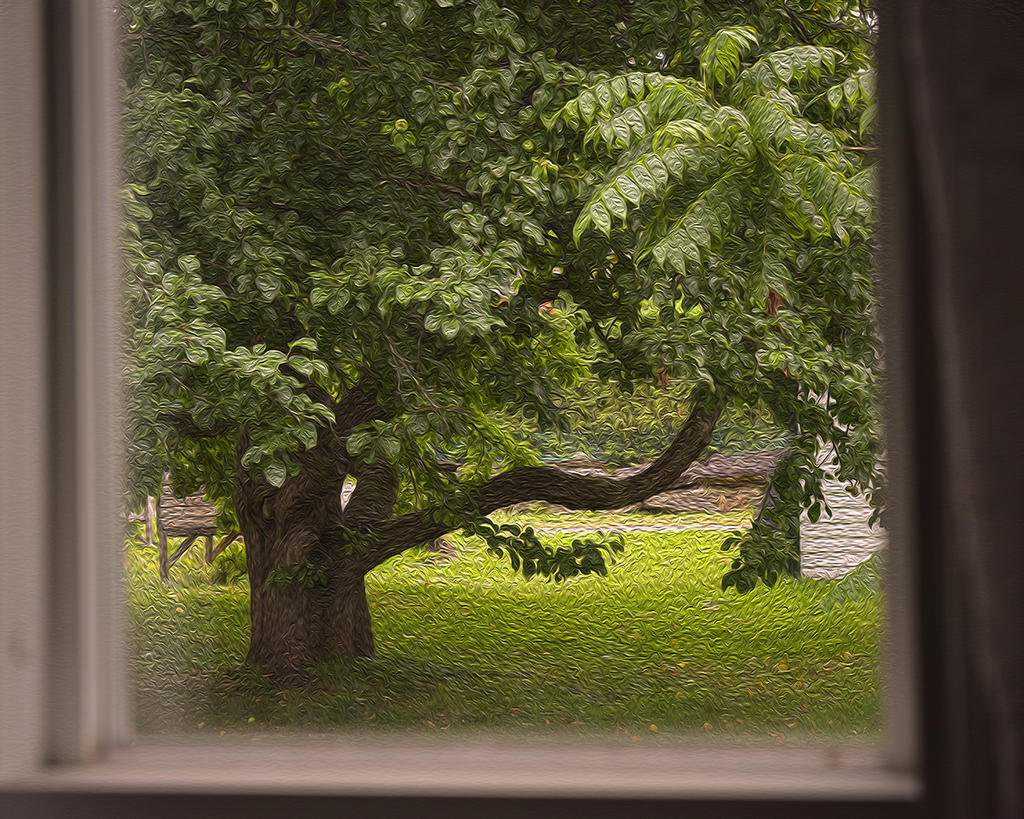 Trough window.jpg