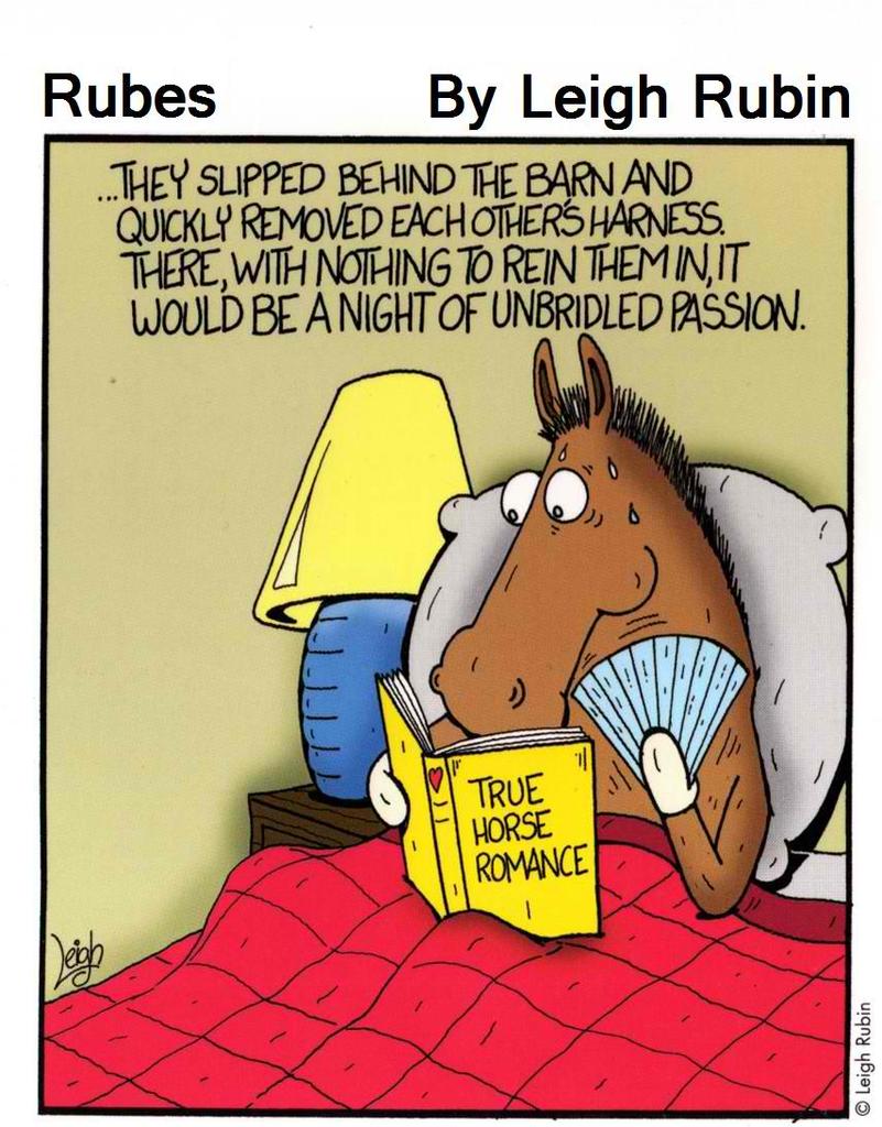 True-Horse-Romance.jpg