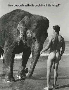 trunk.jpg