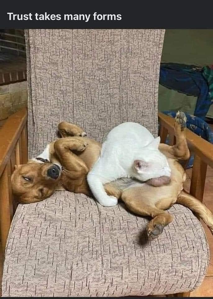 trust.jpg