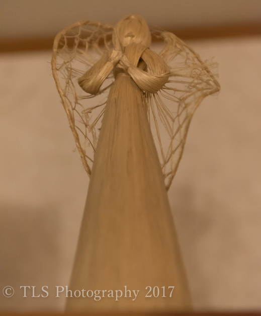 TSA_2891-2.jpg