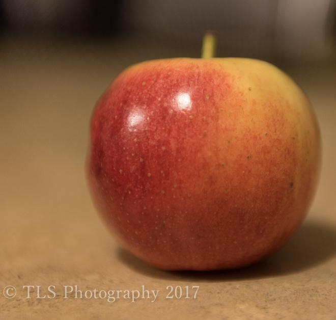 TSA_2902-2.jpg