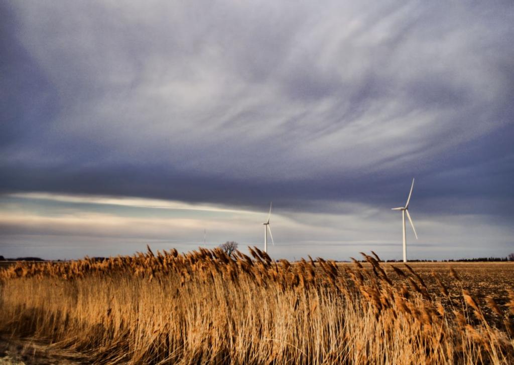turbines and grasses1200.jpg