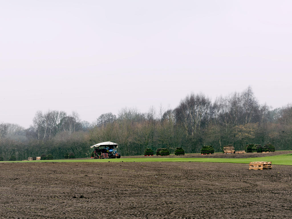 Turf-cutting.jpg