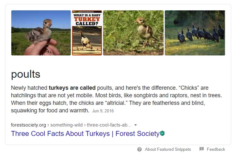 turkey.JPG