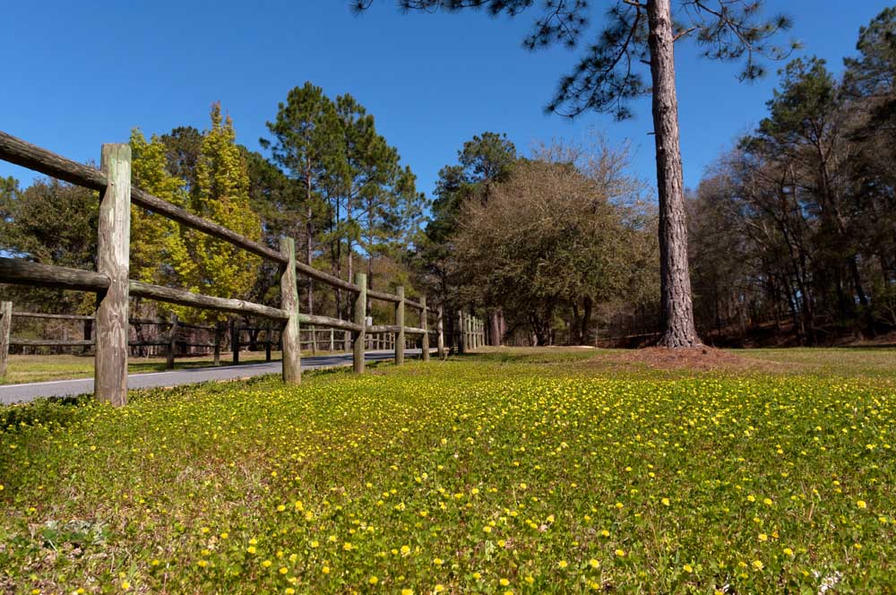 Turnbull_Park_01.jpg