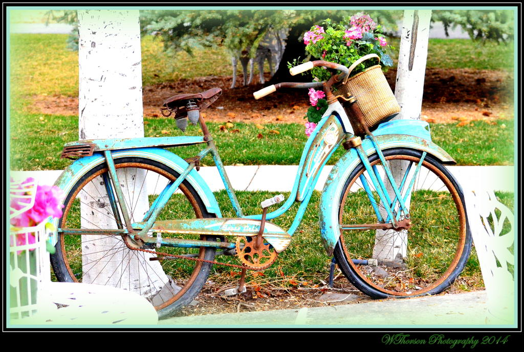 Turquoise Bike.jpg