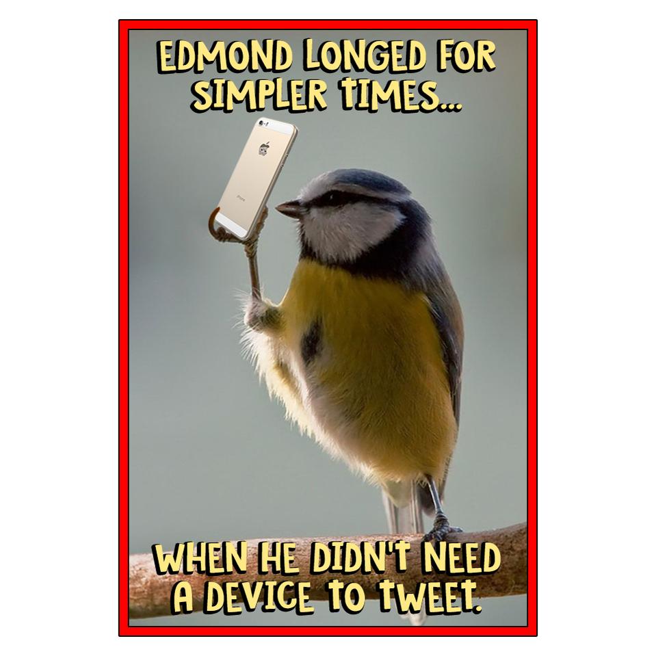 tweet.jpg