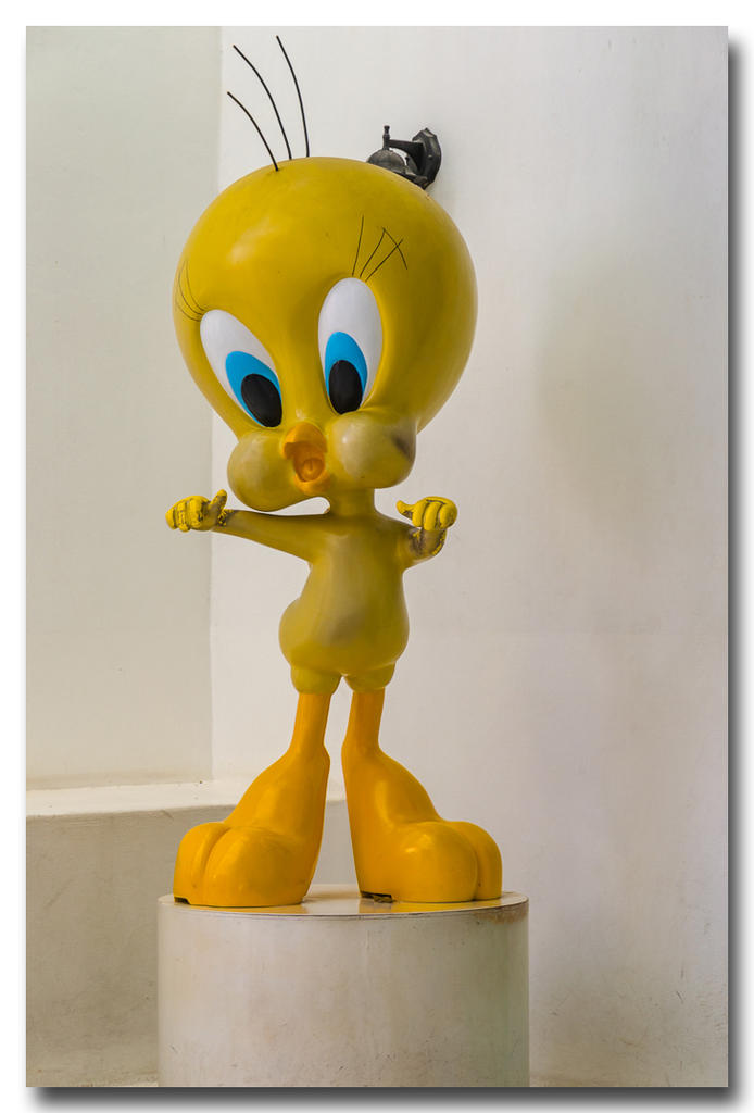 tweety-ype-banbung-1.jpg