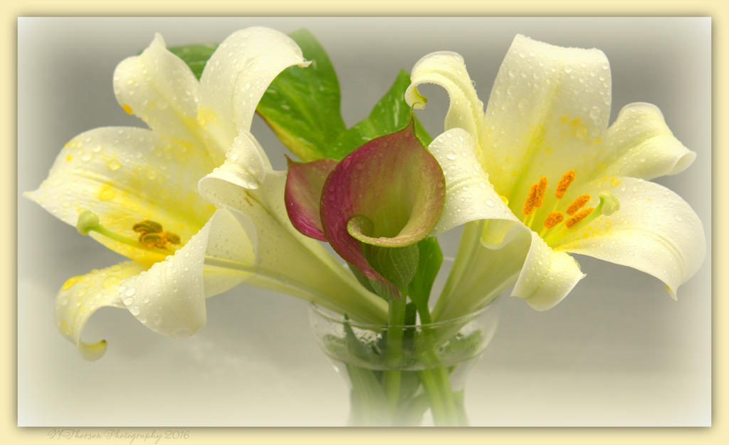 Two Easter Lillies and Two Calla Lillies 3-31-2016.jpg