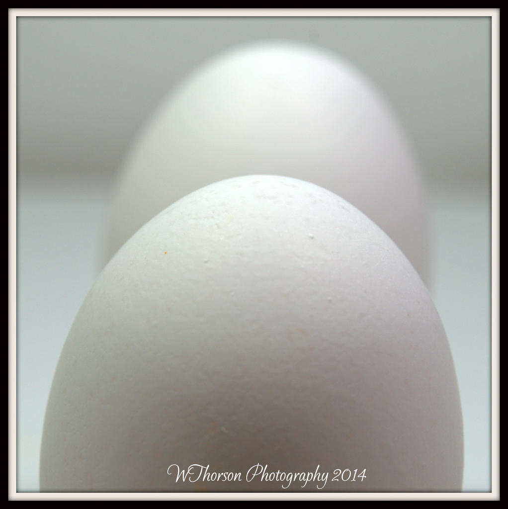 Two Eggs 2.jpg