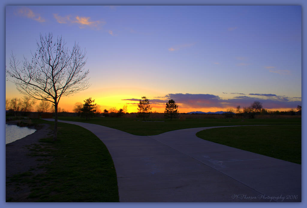Two Roads at Sunset 4-17-2016.jpg