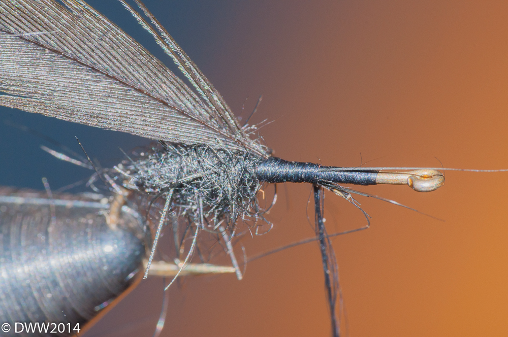 Tying in Hackle (1 of 1).jpg