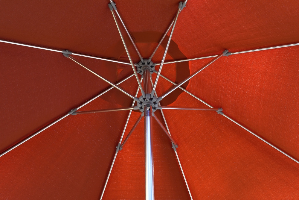 Umber Umbrella.jpg