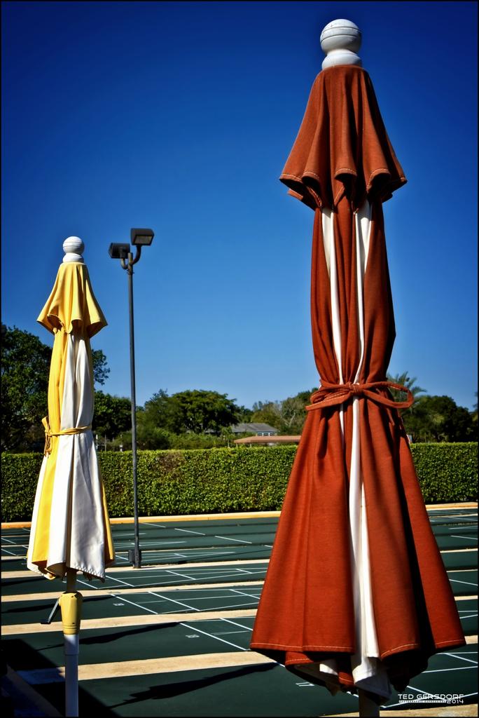 Umberella Series  3_2969.jpg