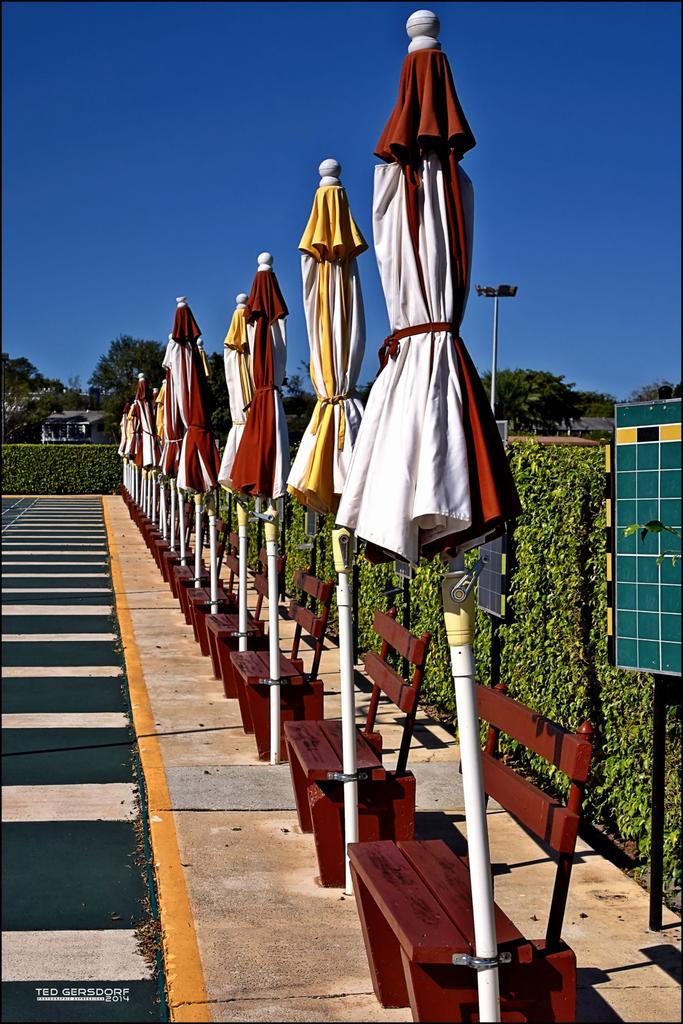 Umberella Series  5_2971.jpg