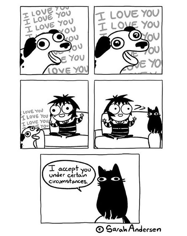 unnamed-1.jpg