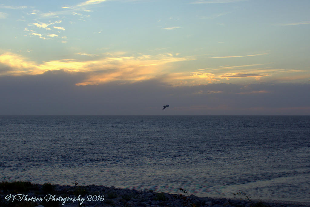 Unsunset #1 9-12-2016.jpg