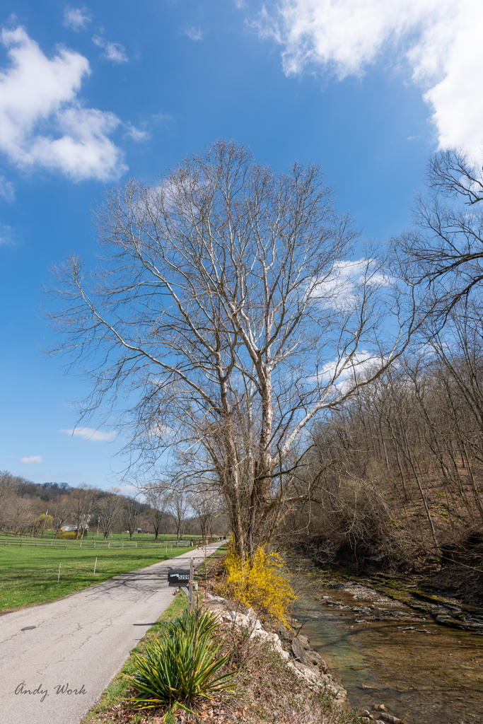 untitled-0297-Edit.jpg
