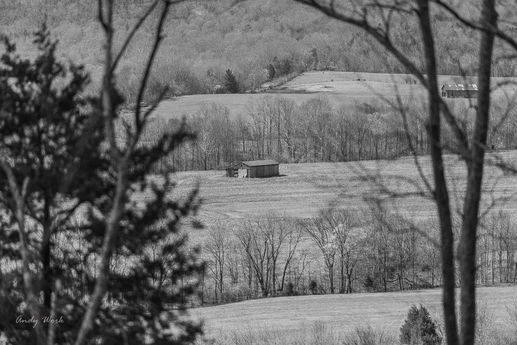 untitled-0330.jpg