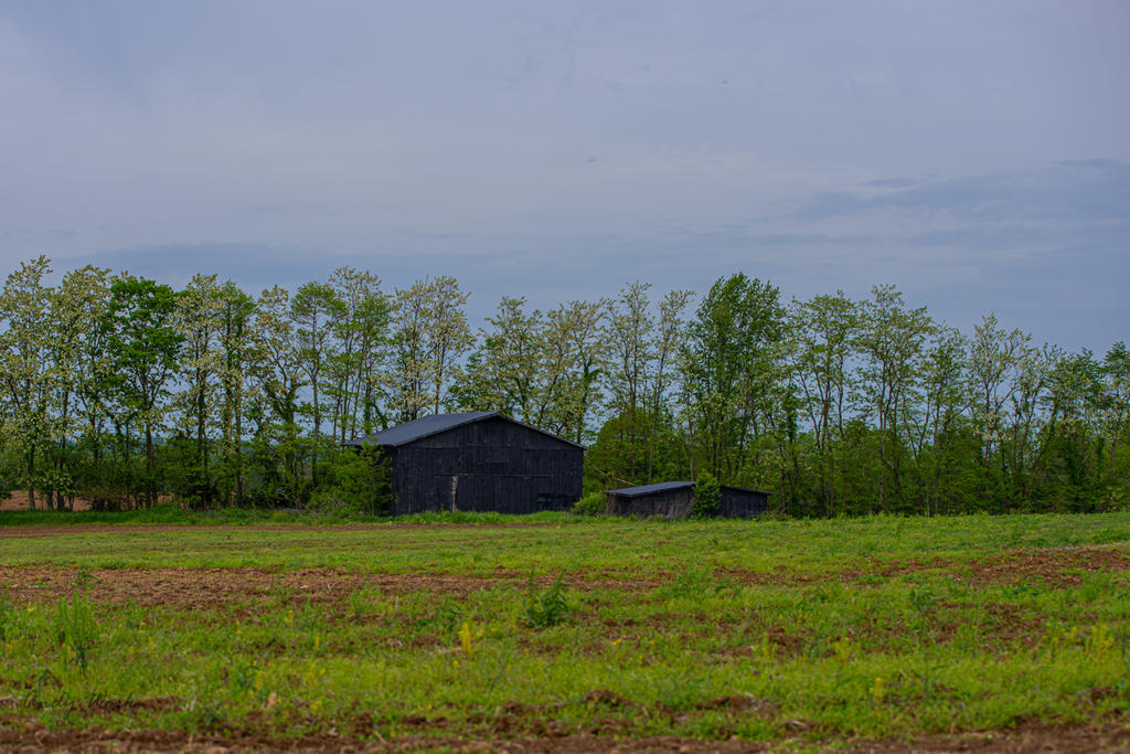 untitled-0800.jpg