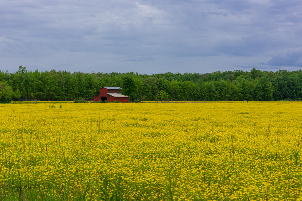 untitled-0856-Edit.jpg