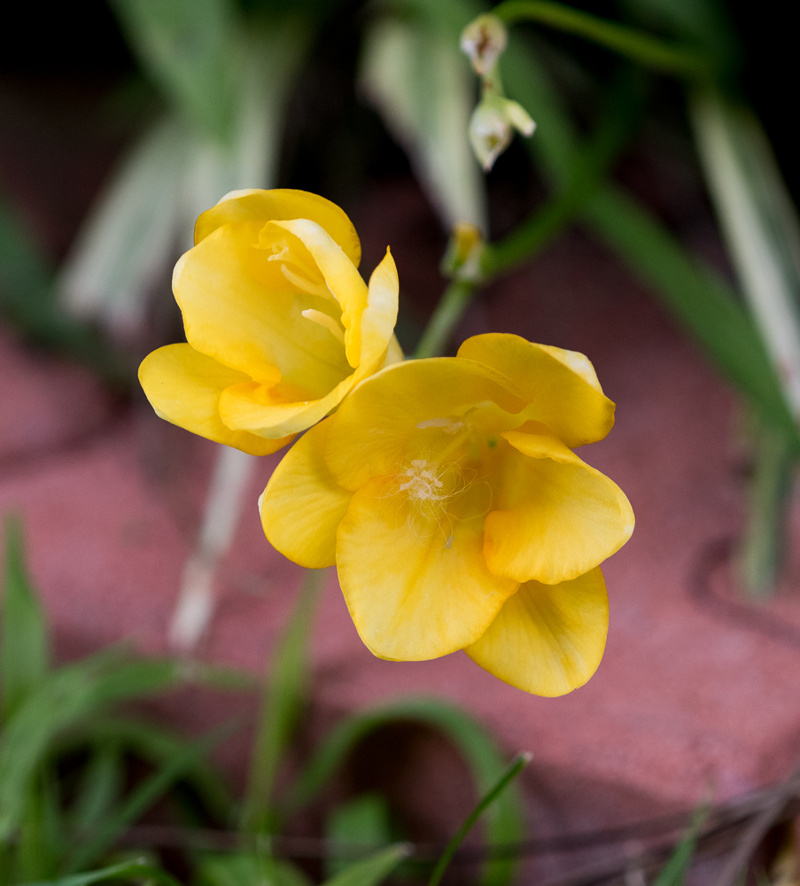 untitled-1-1008.jpg