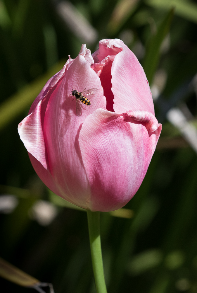 untitled-1-1024.jpg