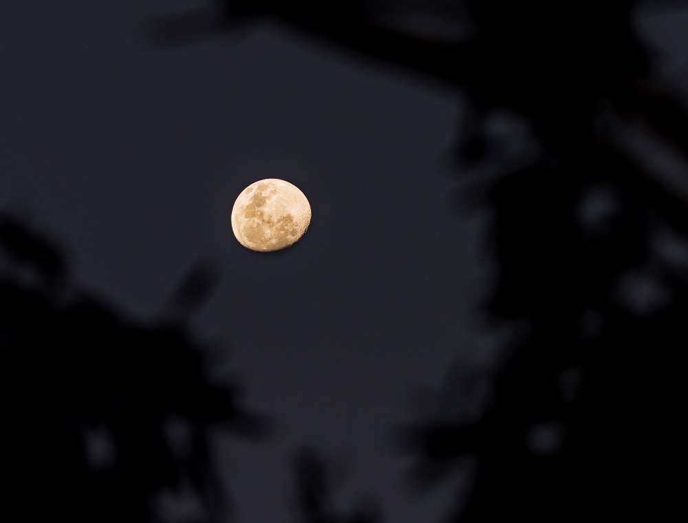 untitled-1-1035.jpg