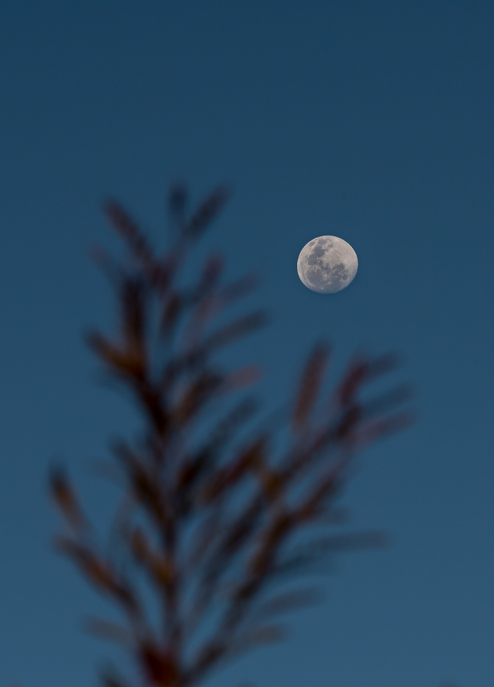 untitled-1-1069.jpg