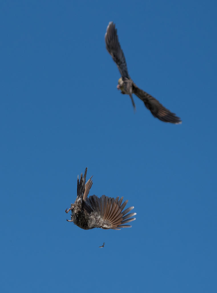untitled-1-1208.jpg