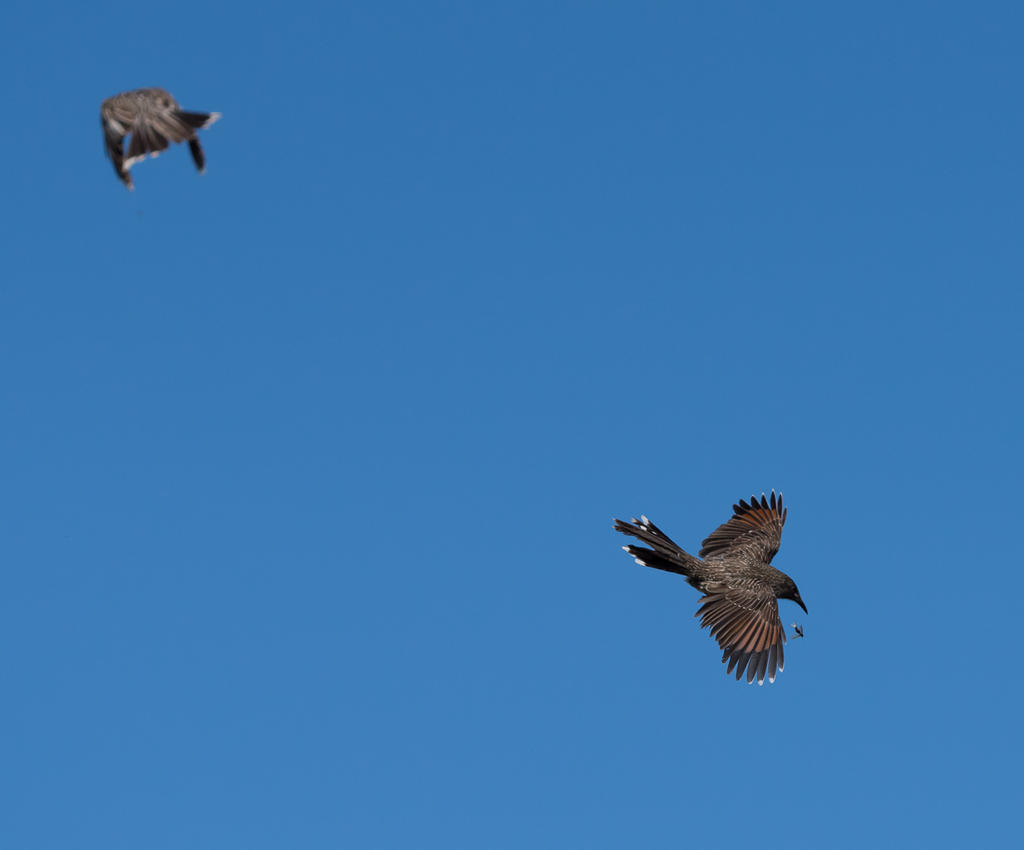 untitled-1-1211.jpg