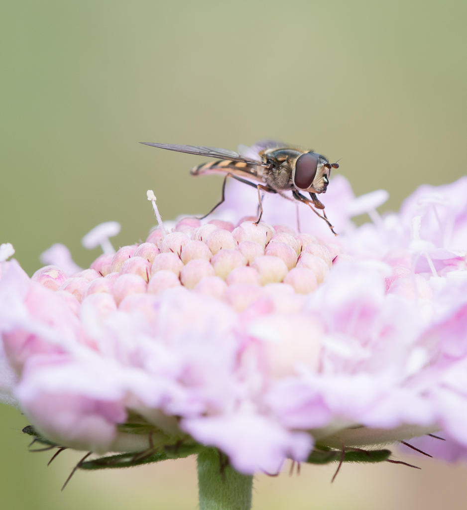 untitled-1-1220.jpg