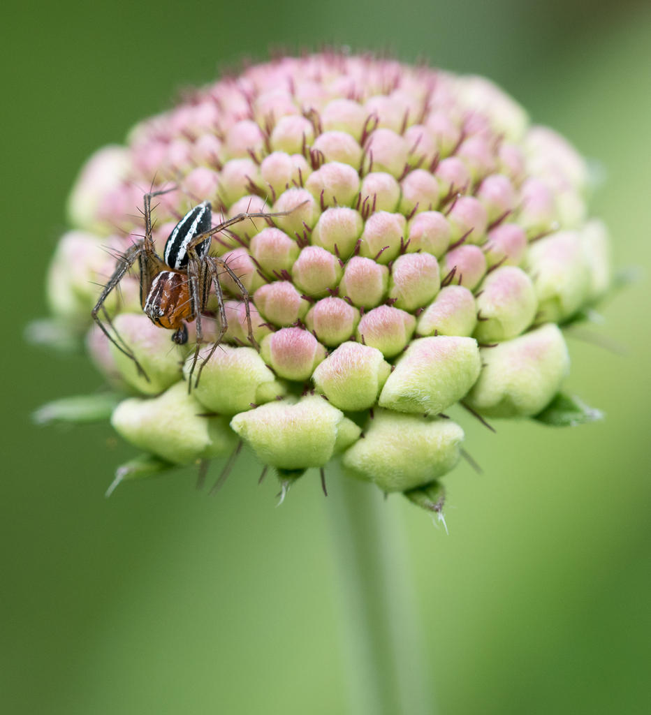 untitled-1-1221.jpg