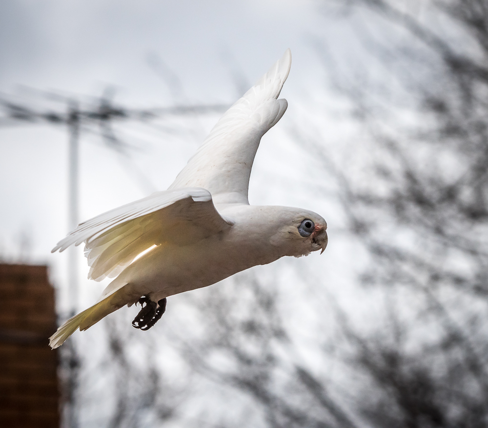 untitled-1-156.jpg