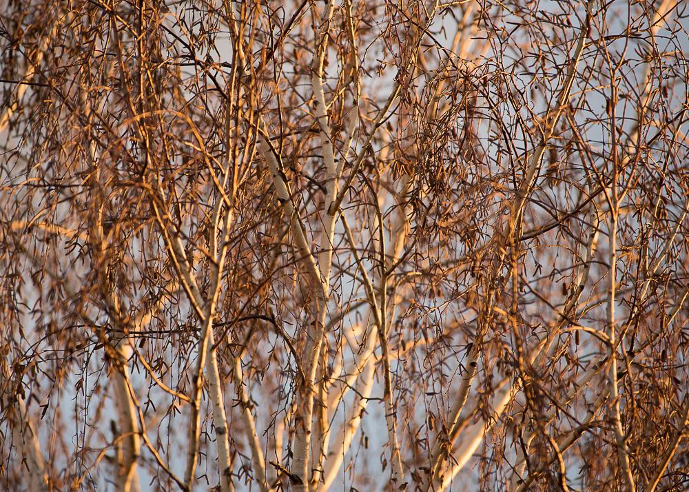 untitled-1-180.jpg
