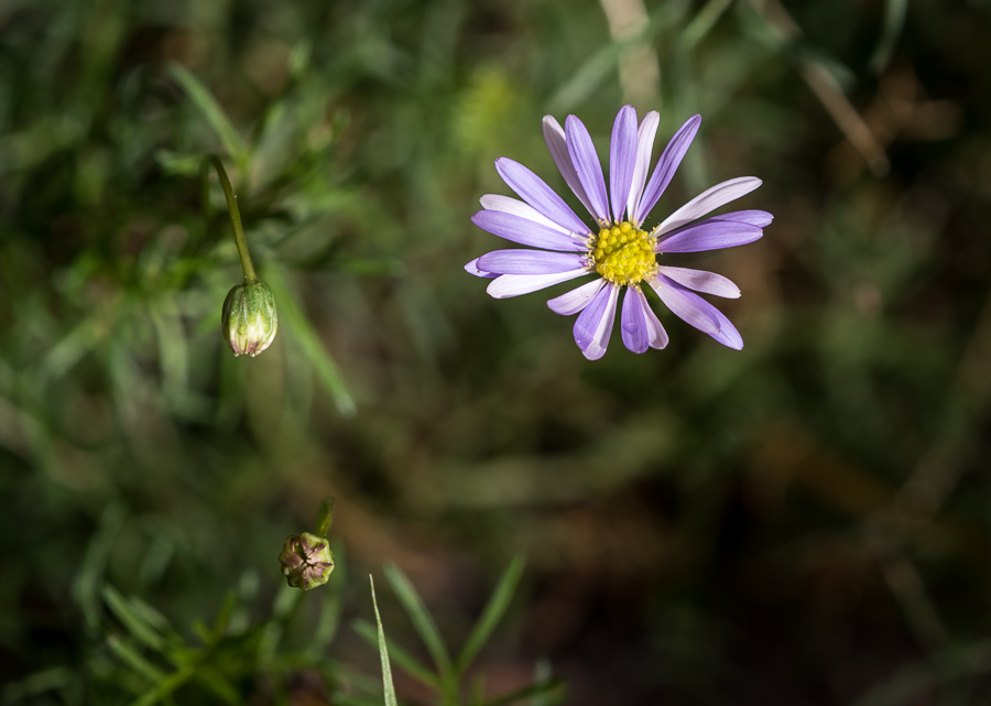 untitled-1-328.jpg