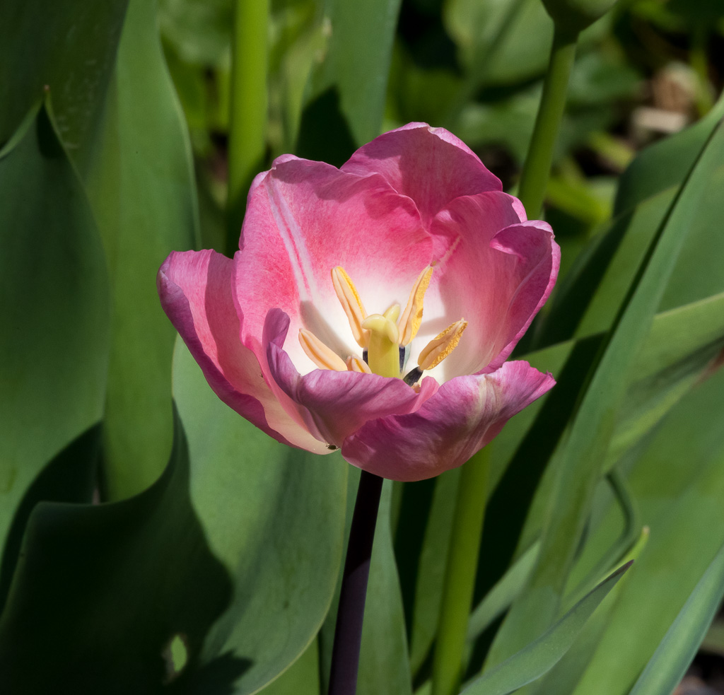 untitled-1-355.jpg