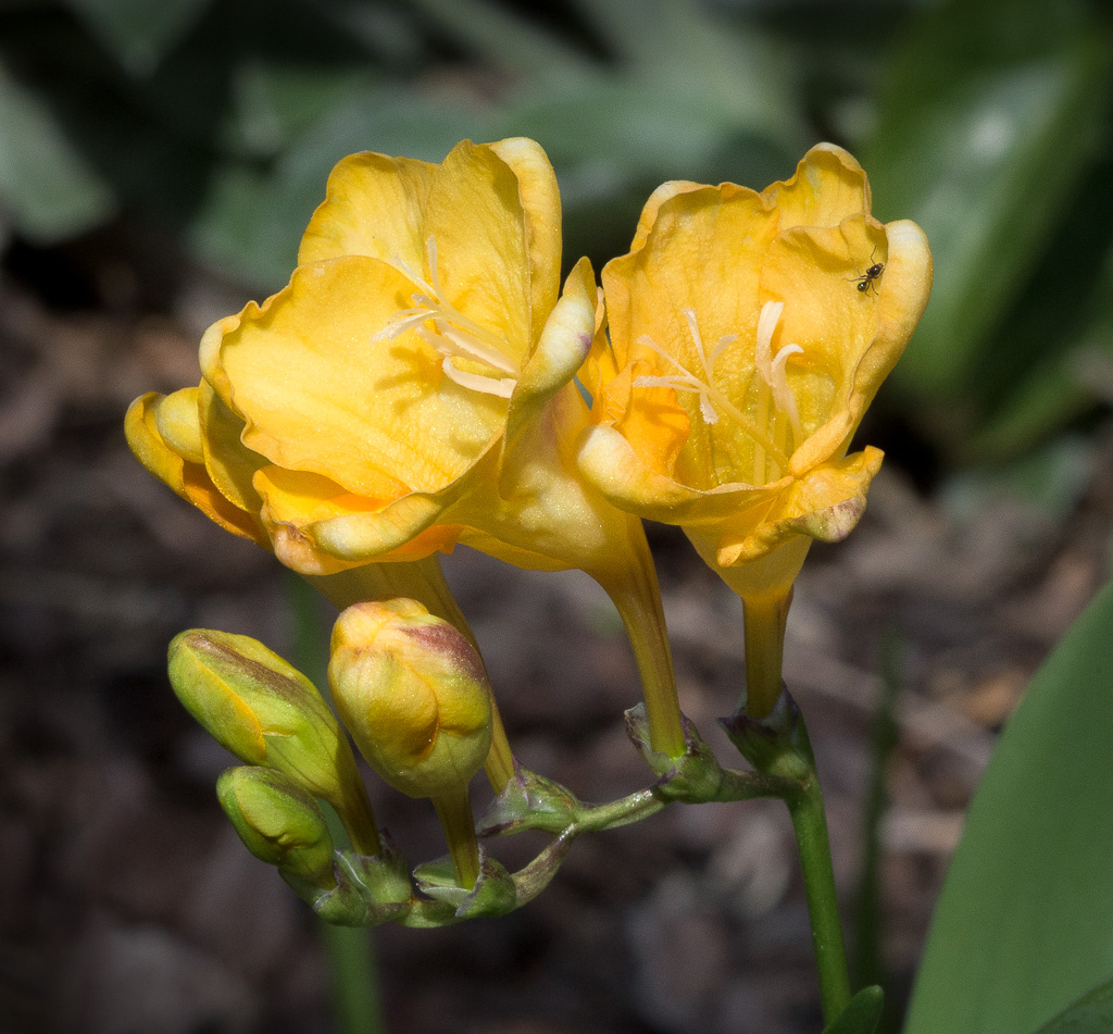 untitled-1-356.jpg