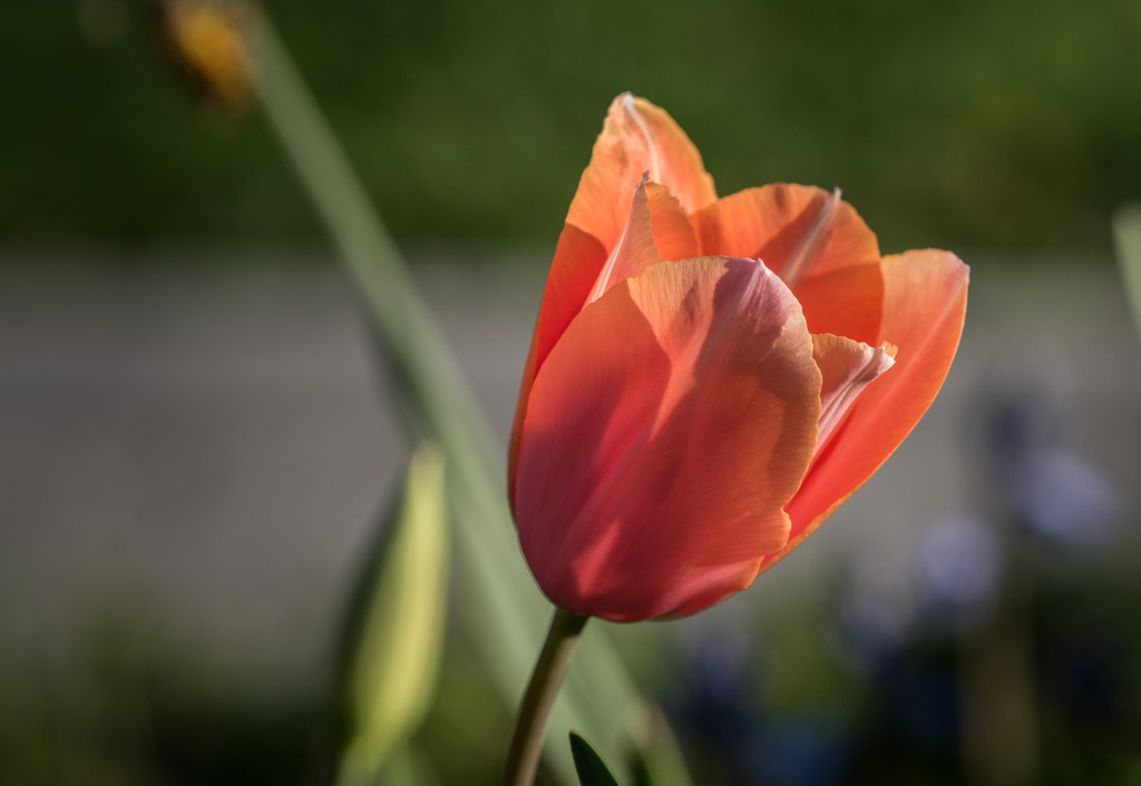 untitled-1-440.jpg