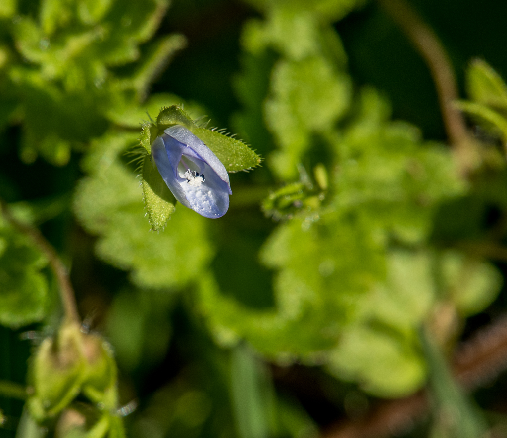 untitled-1-476.jpg