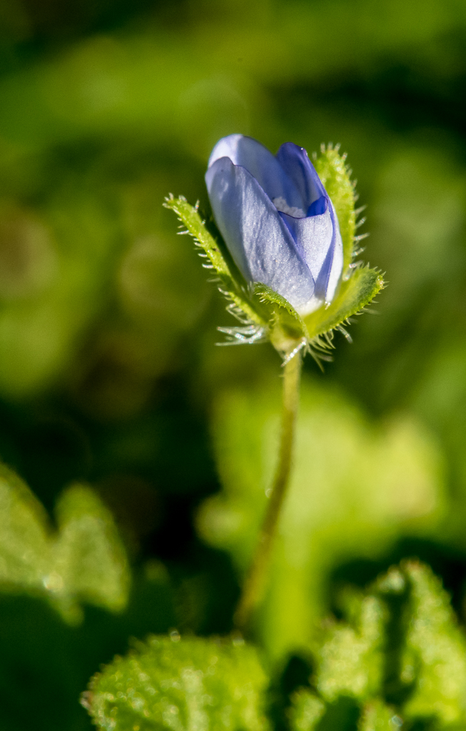 untitled-1-479.jpg