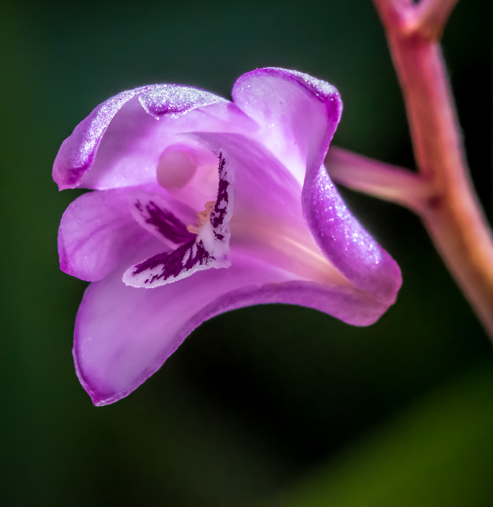 untitled-1-481.jpg