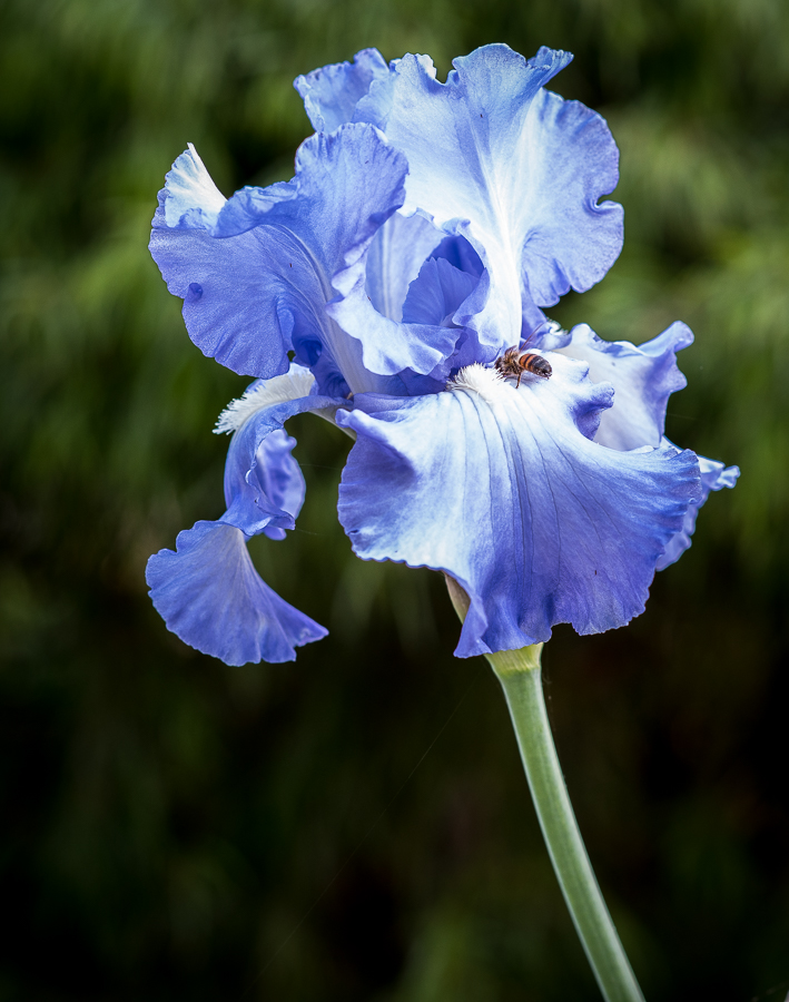untitled-1-500.jpg