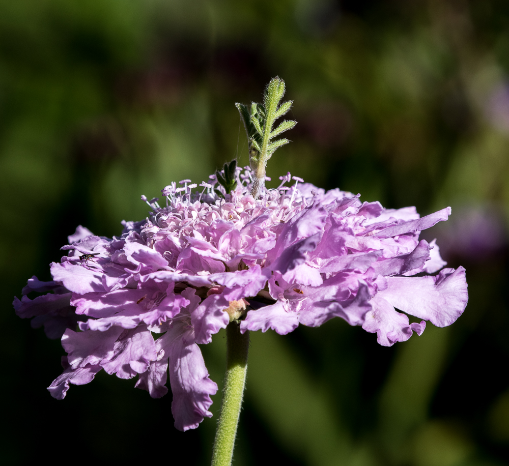 untitled-1-845.jpg