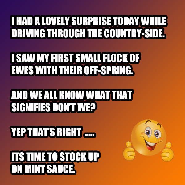 Untitled-1.jpg
